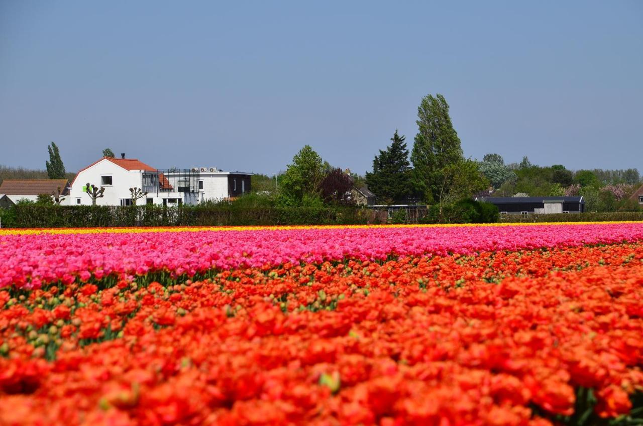 Wellness Bed & Breakfast Pergamo Voorhout Luaran gambar