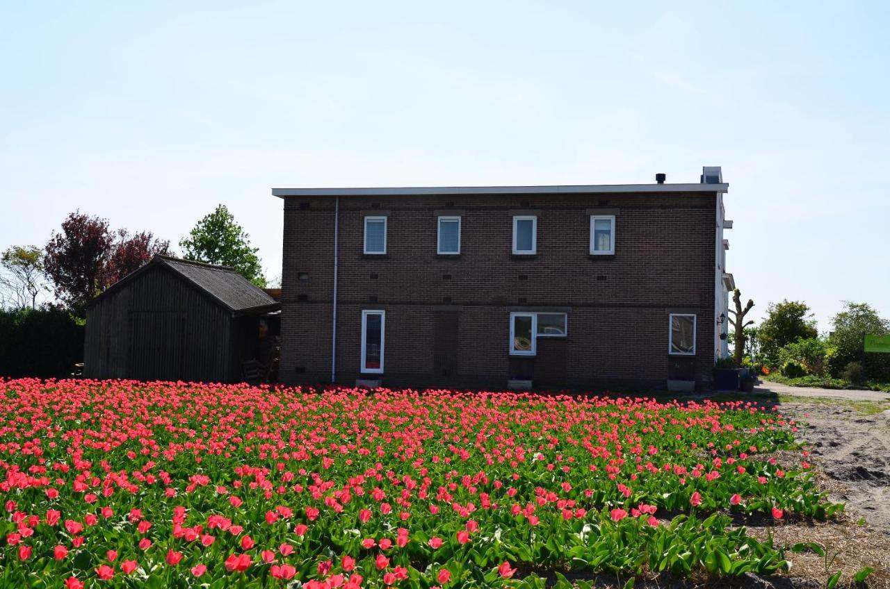 Wellness Bed & Breakfast Pergamo Voorhout Luaran gambar